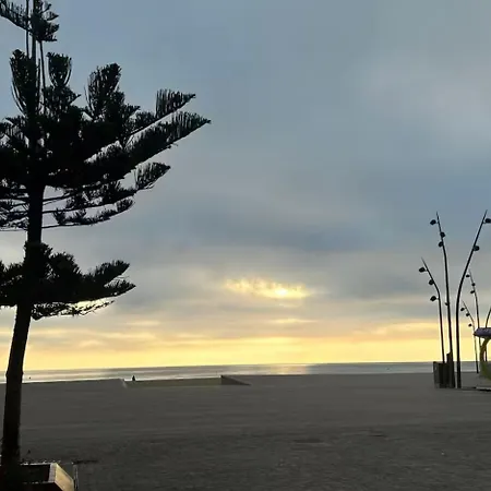 La Brise D'argeles